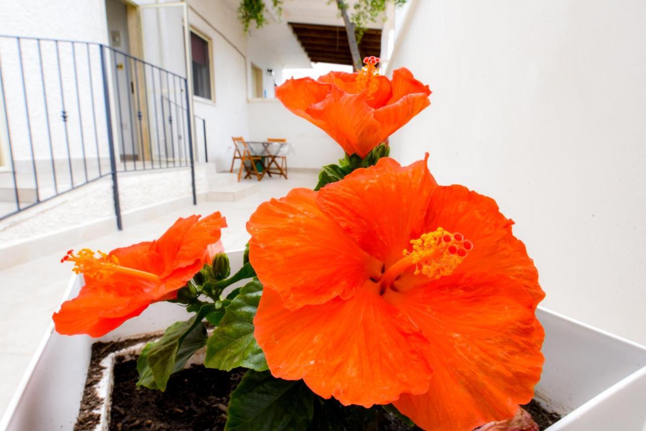 B&B Macchia Mediterranea Сан-Пьетро-ин-Беванья Экстерьер фото